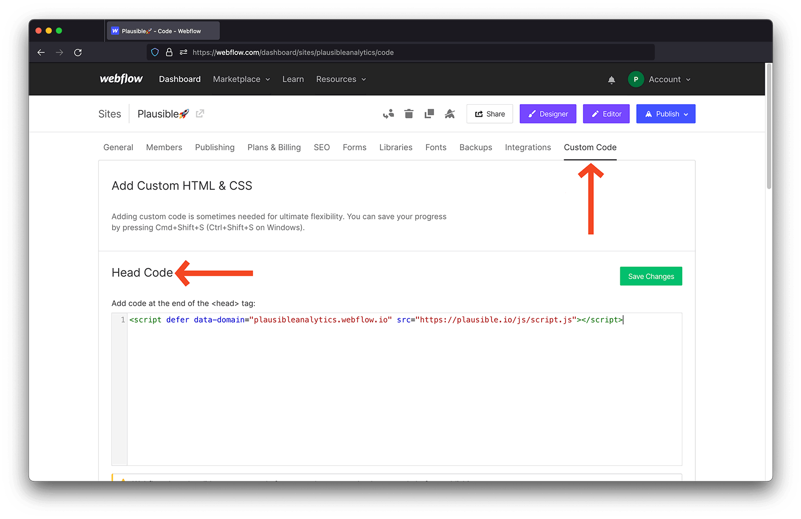 Add Plausible Analytics script to Webflow